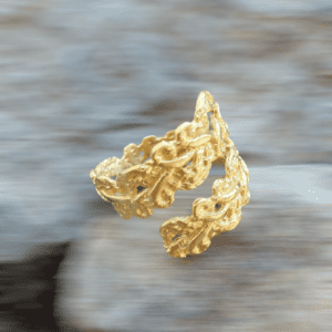 238247233 189571736572555 1645587925281086552 n